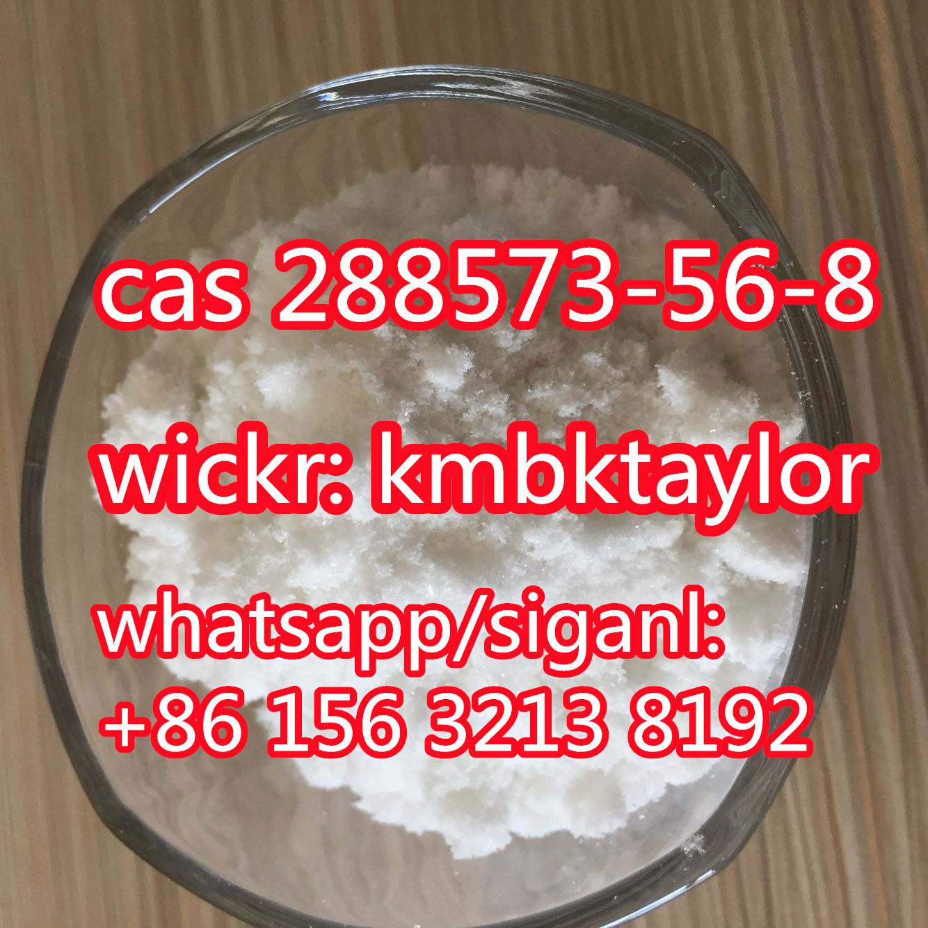 288n49.jpg