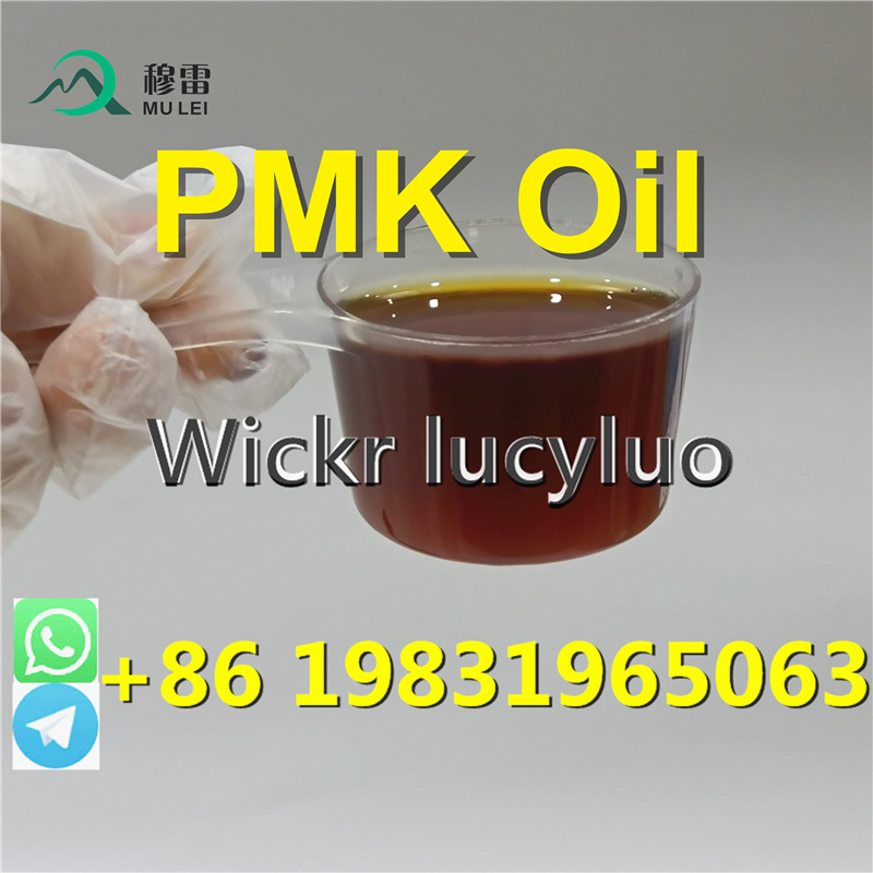 Professional pmk oil supplier and exporter sell CAS 28578-16-7