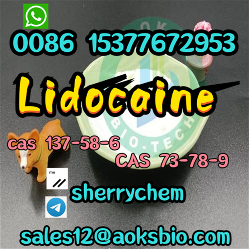 lidocaine  (1)_副本.jpg