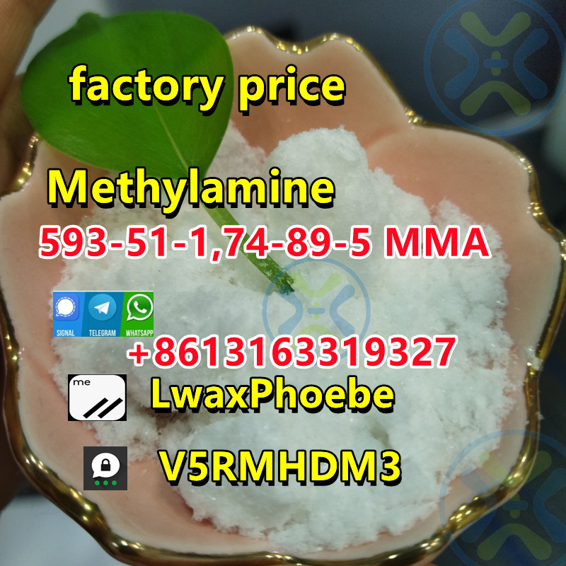 593 Methylamine.jpg