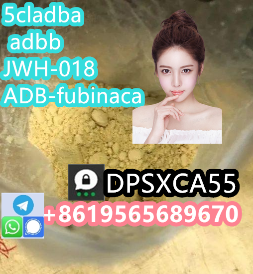 微信截图_20230830112207.png