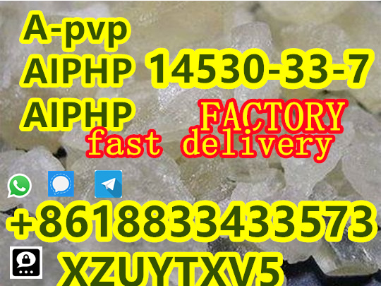 1693290683562.jpg