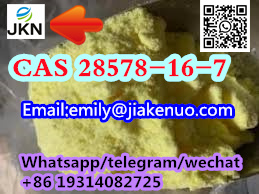 微信图片_20230908134244.jpg