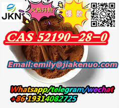 微信图片_2023090813424413.jpg