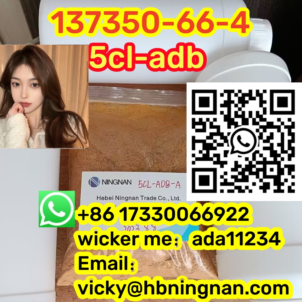 13735066cccccccccccccc.jpg