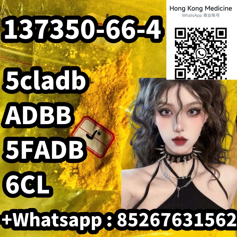 137350副本999.jpg