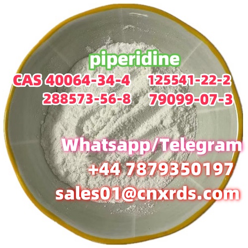 小       piperidine     .jpg