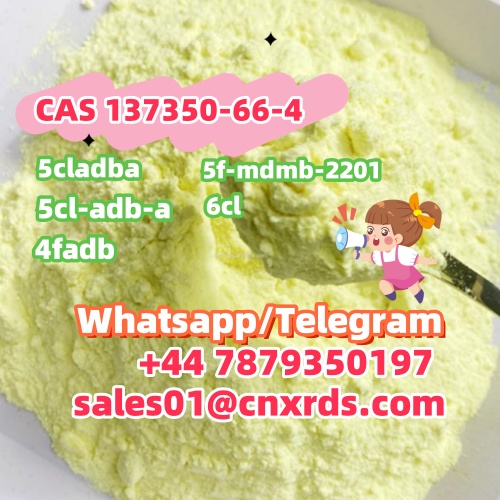 小   137350-66-4  .jpg