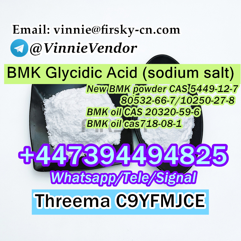 bmk supplier buy bmk 5449-12-7 bmk oil03.jpg