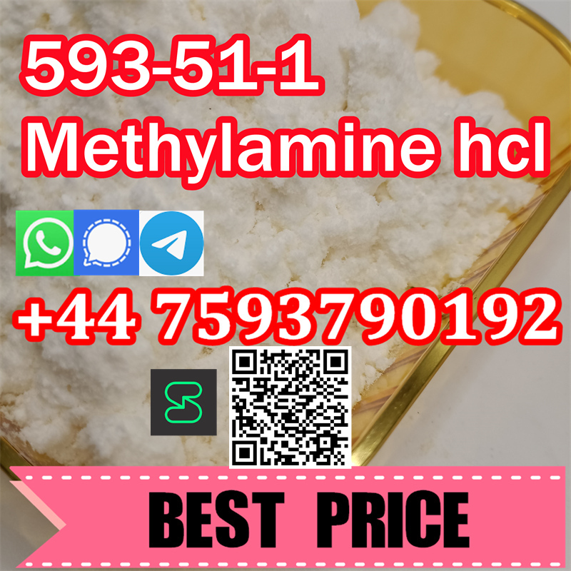 Methylamine hydrochloride hcl 593-51-1 (1).jpg
