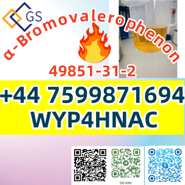 49851-31-2_副本3.png