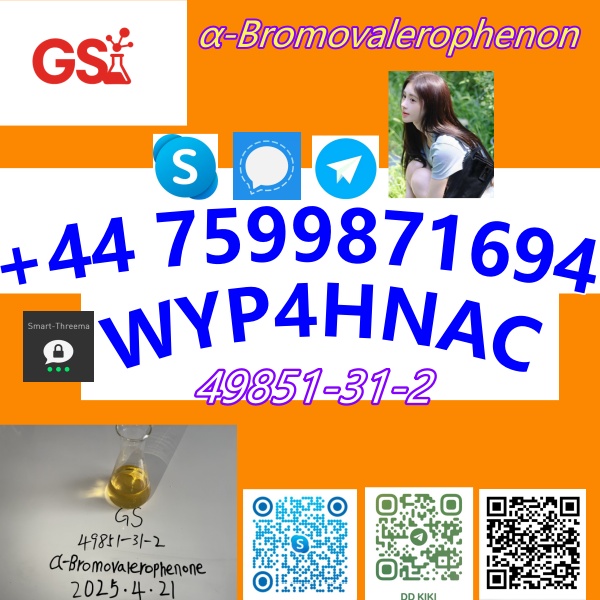 阿尔法_副本8.jpg