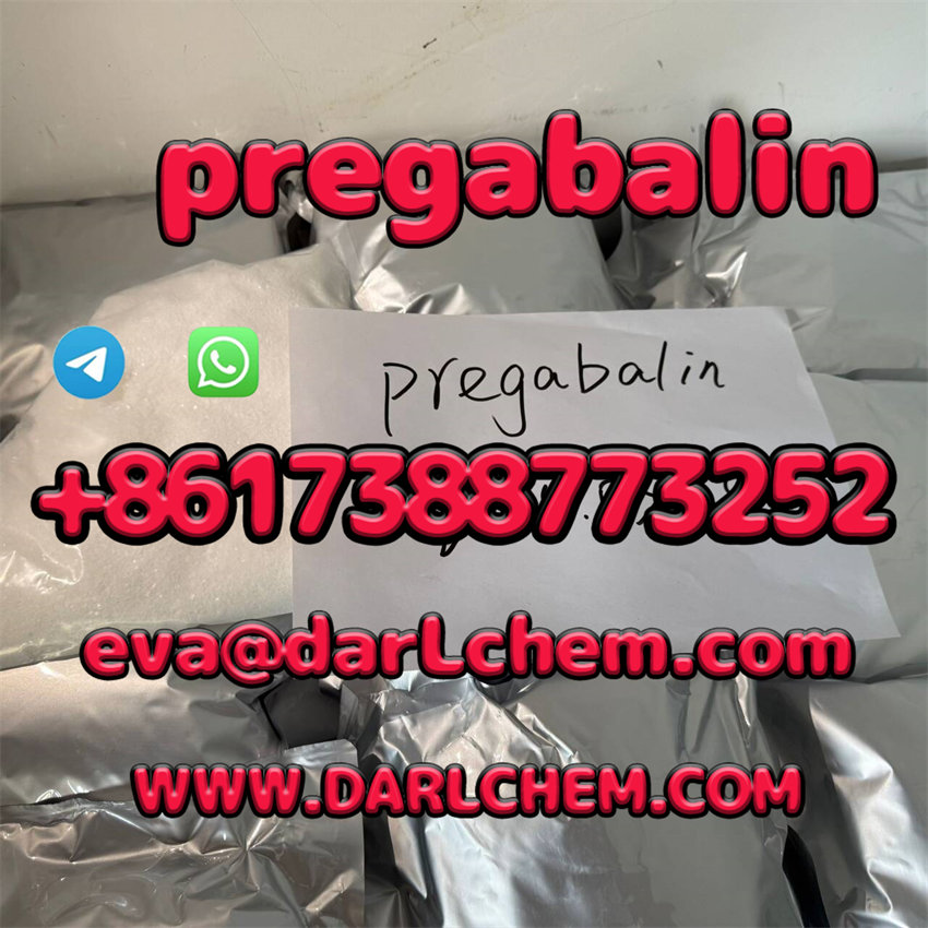 pre24.jpg