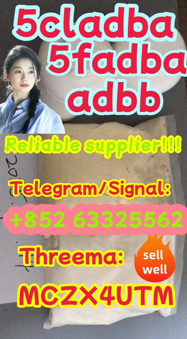5cl33.jpg